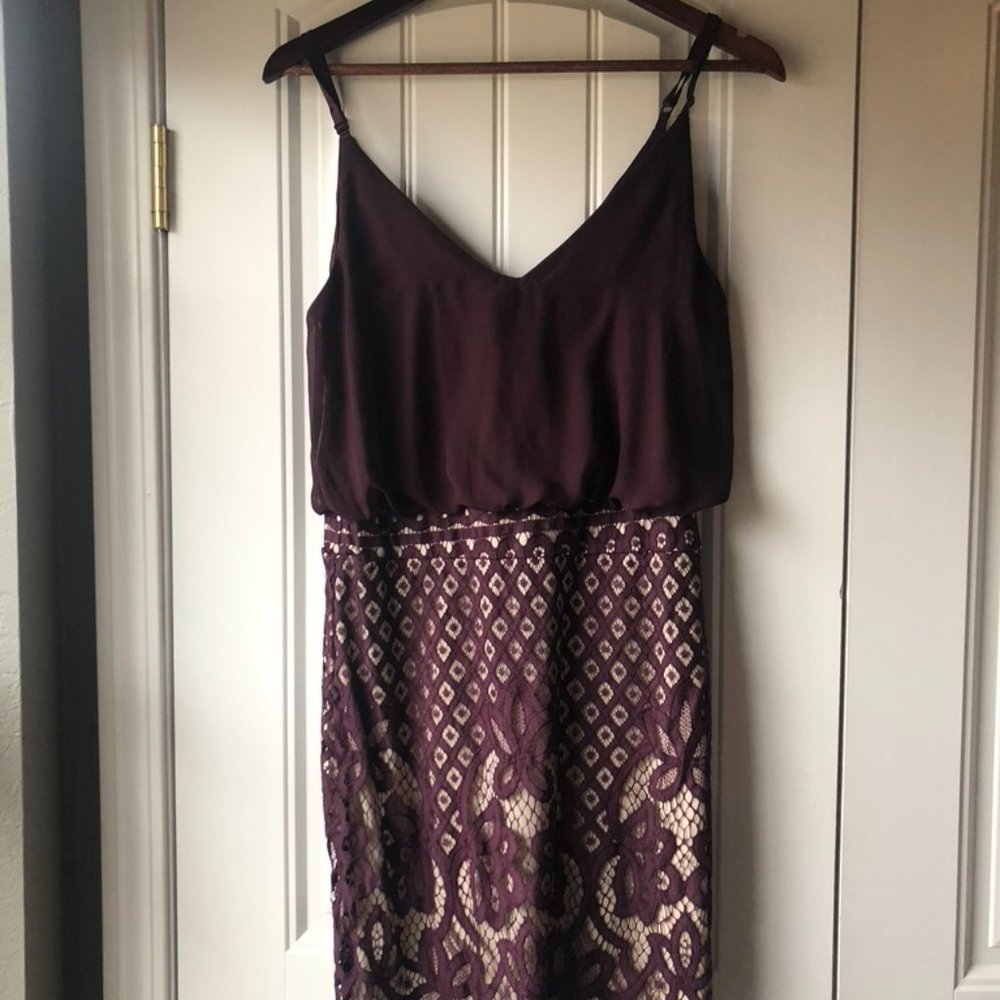 Ayla dress Plum with tan slip and lace skirt
